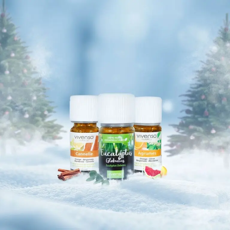 [COFFRETHIVER] Huiles Essentielles Hiver Enchanté
